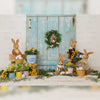 Blue Door Bunny Garden - Printed Backdrop - Fabric - 5 by 8 feet