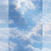 Blue Cloud - Printed Backdrop - Fabric - 8 by 12 Feet
