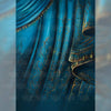 Blue Saree - Printed Backdrop - Fabric - 6 by 12 Feet