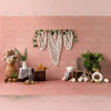 Boho V0.1 - Printed Backdrop - Fabric - 5 by 7 feet