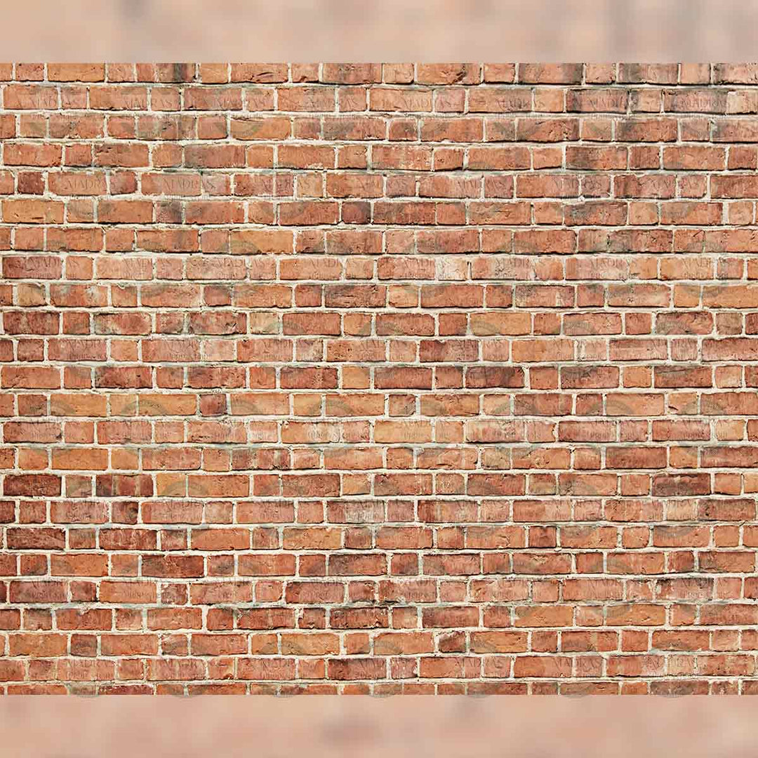 Brick Wall : Baby Backdrops