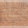 Brick Wall - Printed Backdrop - Fabric - 5 by 7 feet