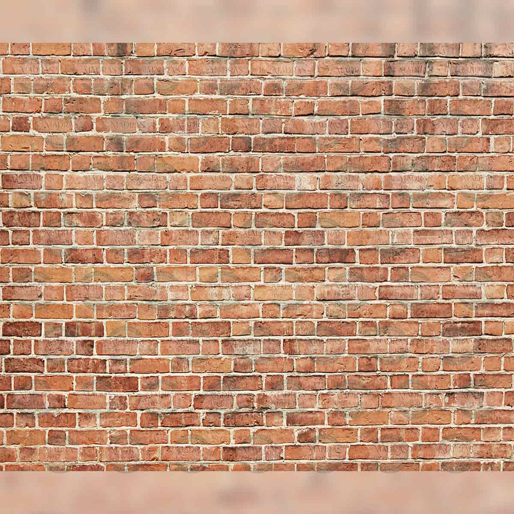Brick Wall - Baby Printed Backdrops
