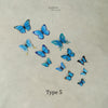 Butterfly ( Pack of 12 )