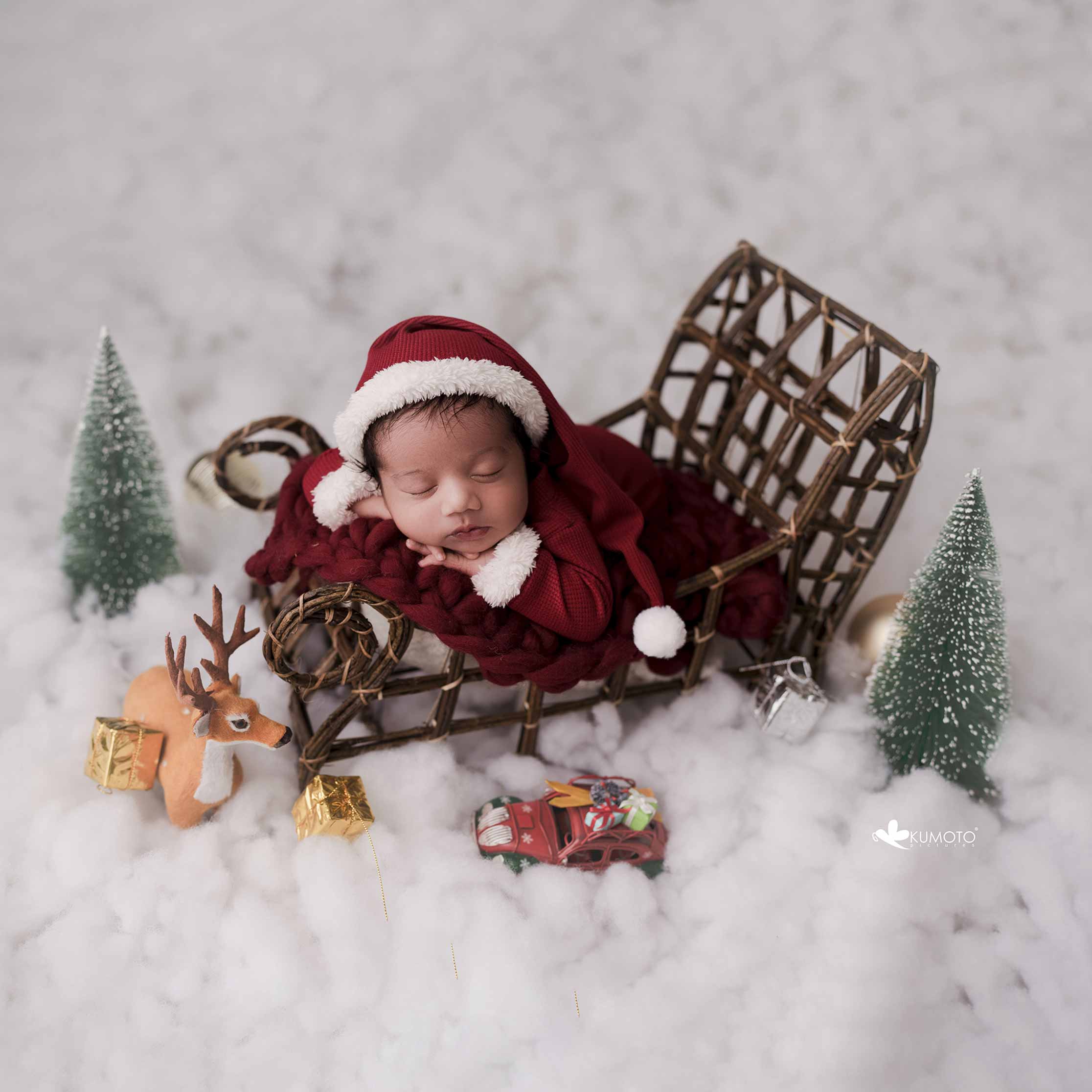 Country Style Xmas Cart : Baby Props