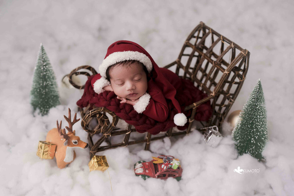 Country Style Xmas Cart : Baby Props