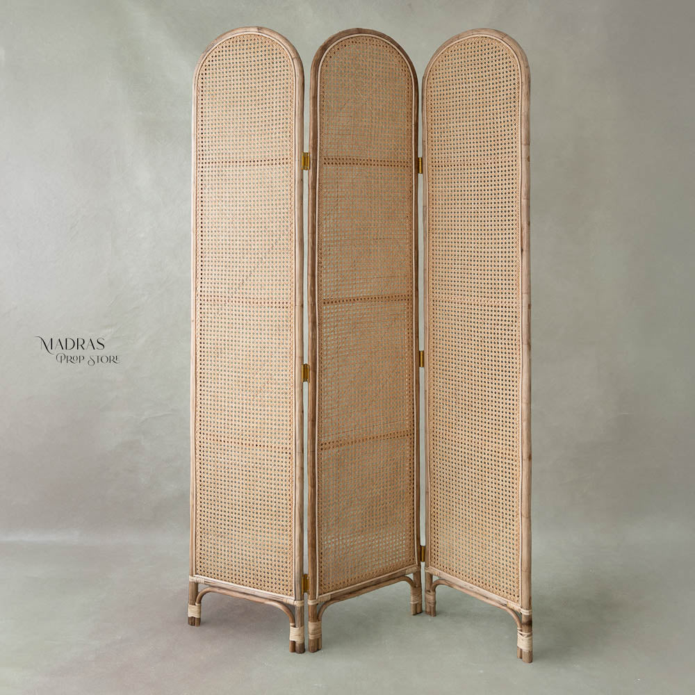 Cane Divider : Maternity Props