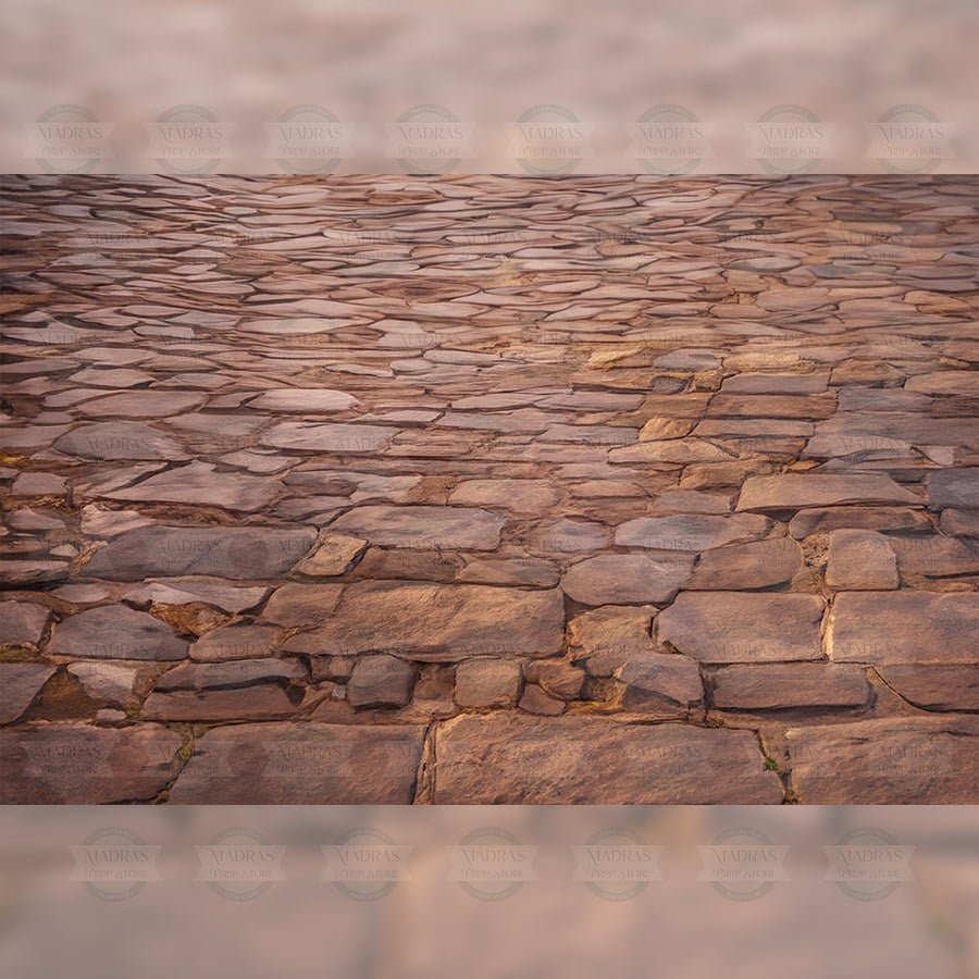 Cobblestone : Baby Backdrops