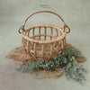 Cuddle Basket