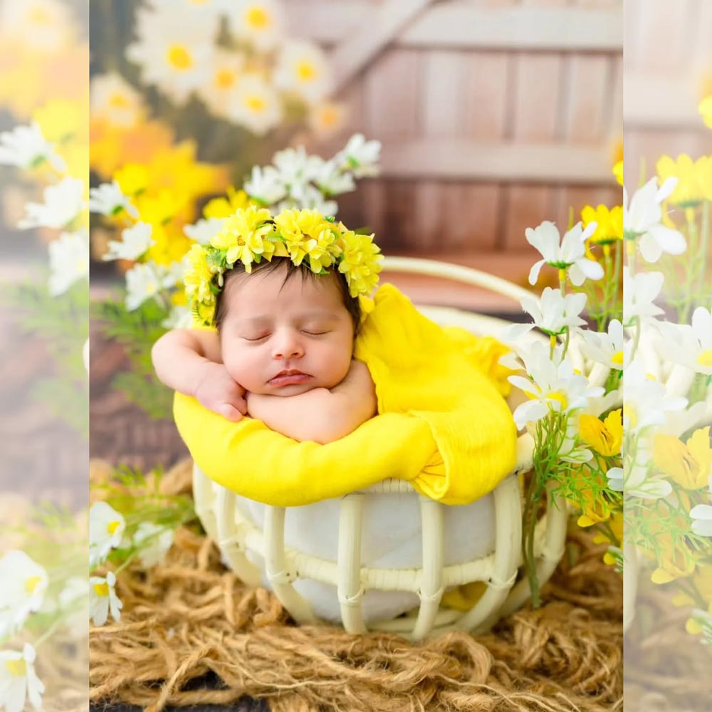 Cuddle Basket : Baby Props