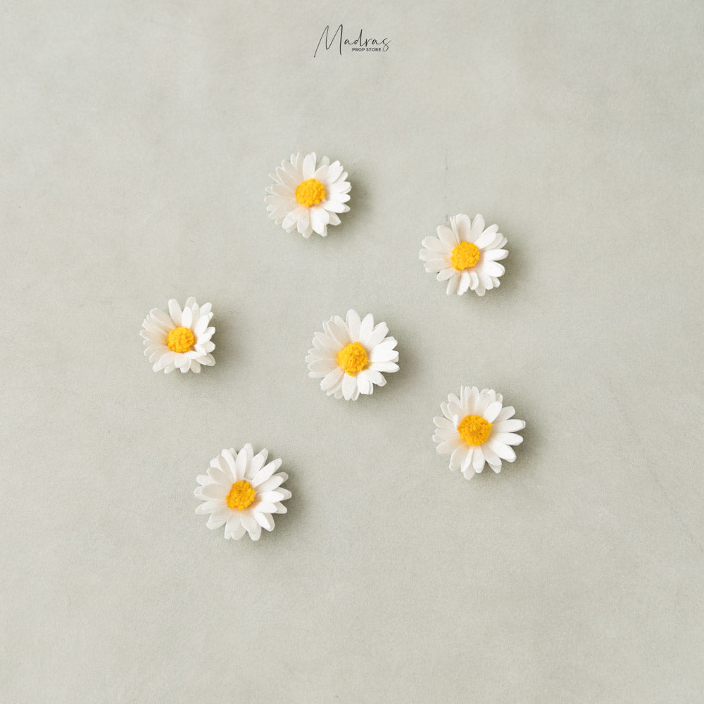 Daisy Flower Heads (Set Of 6) : Baby Props