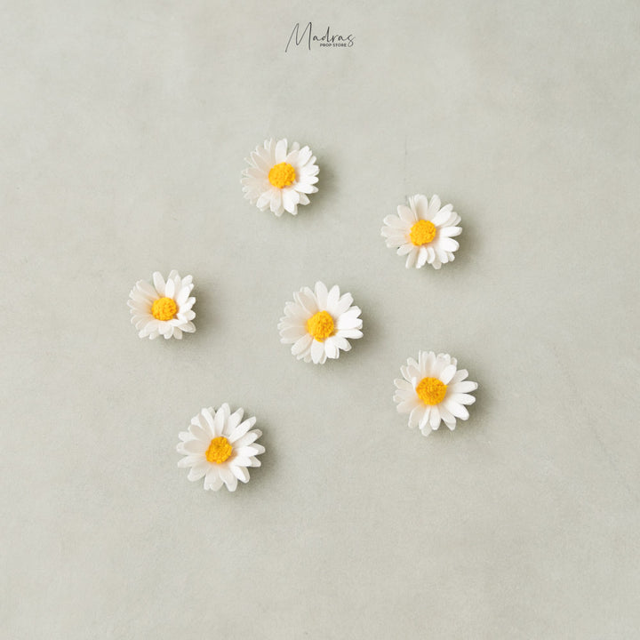 Daisy Flower Heads (Set Of 6) : Baby Props