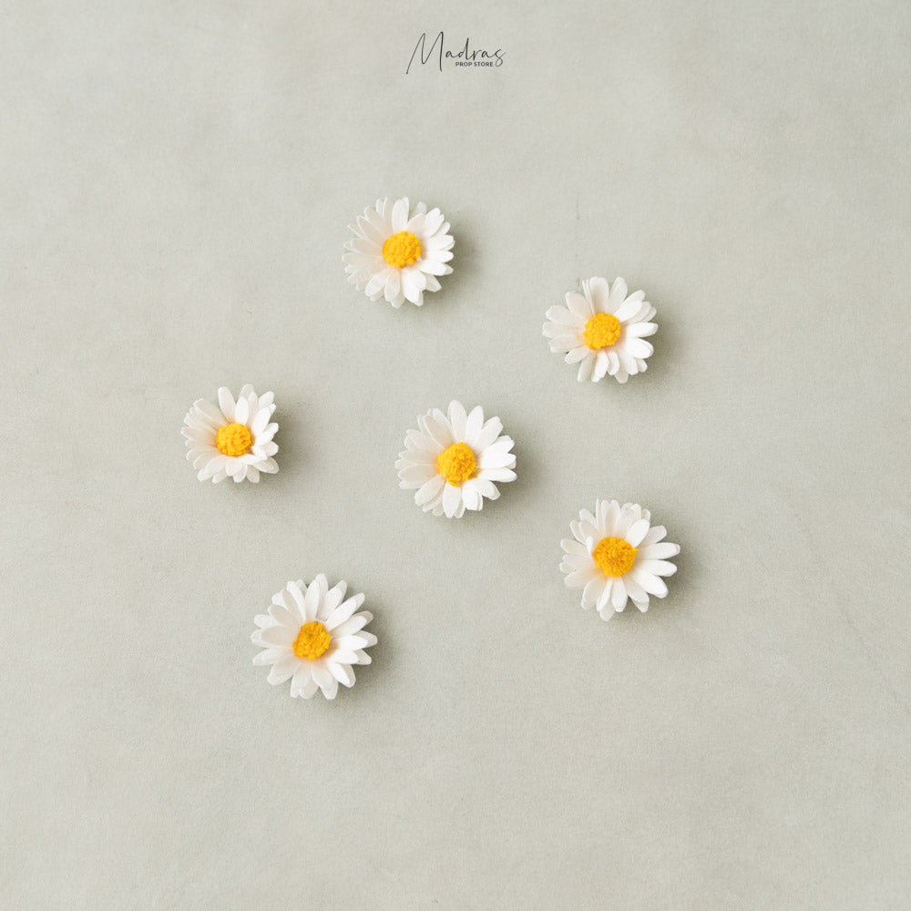 Daisy Flower Heads (Set Of 6)- Baby Props