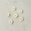 Daisy Flower Heads (Set Of 6)