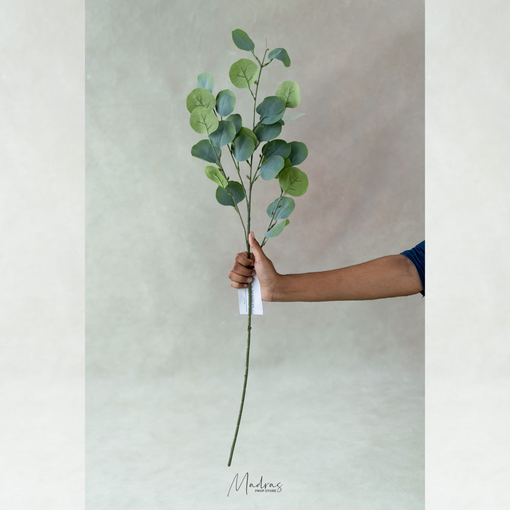 Eucalyptus Leaf Bunch : Baby Props