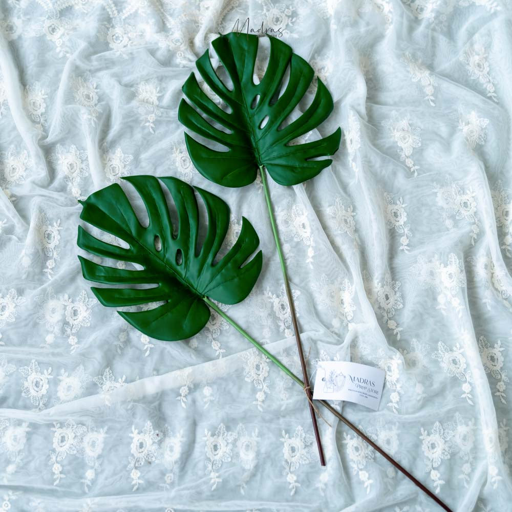 Realistic Monstera Leaf Set of 2 pcs : Baby Props