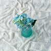 Mini Hydrangea