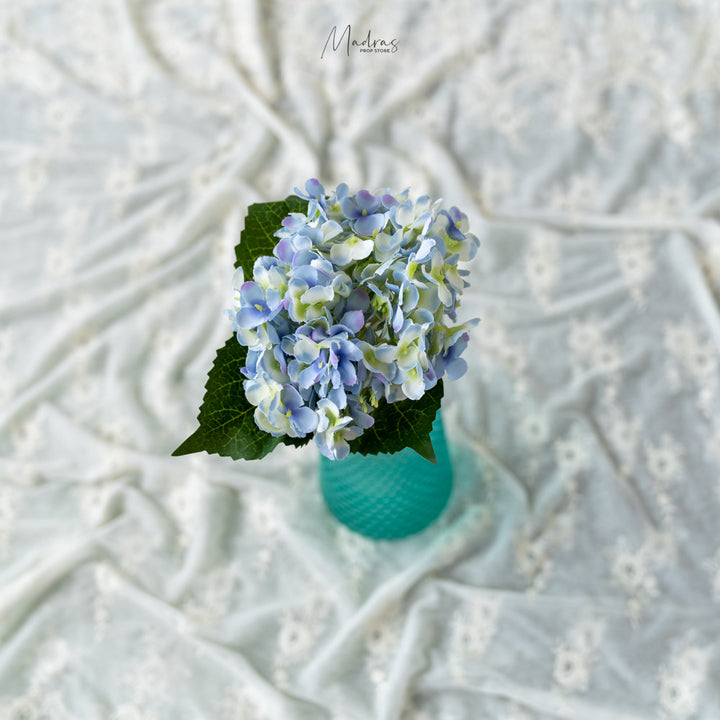 Mini Hydrangea : Baby Props