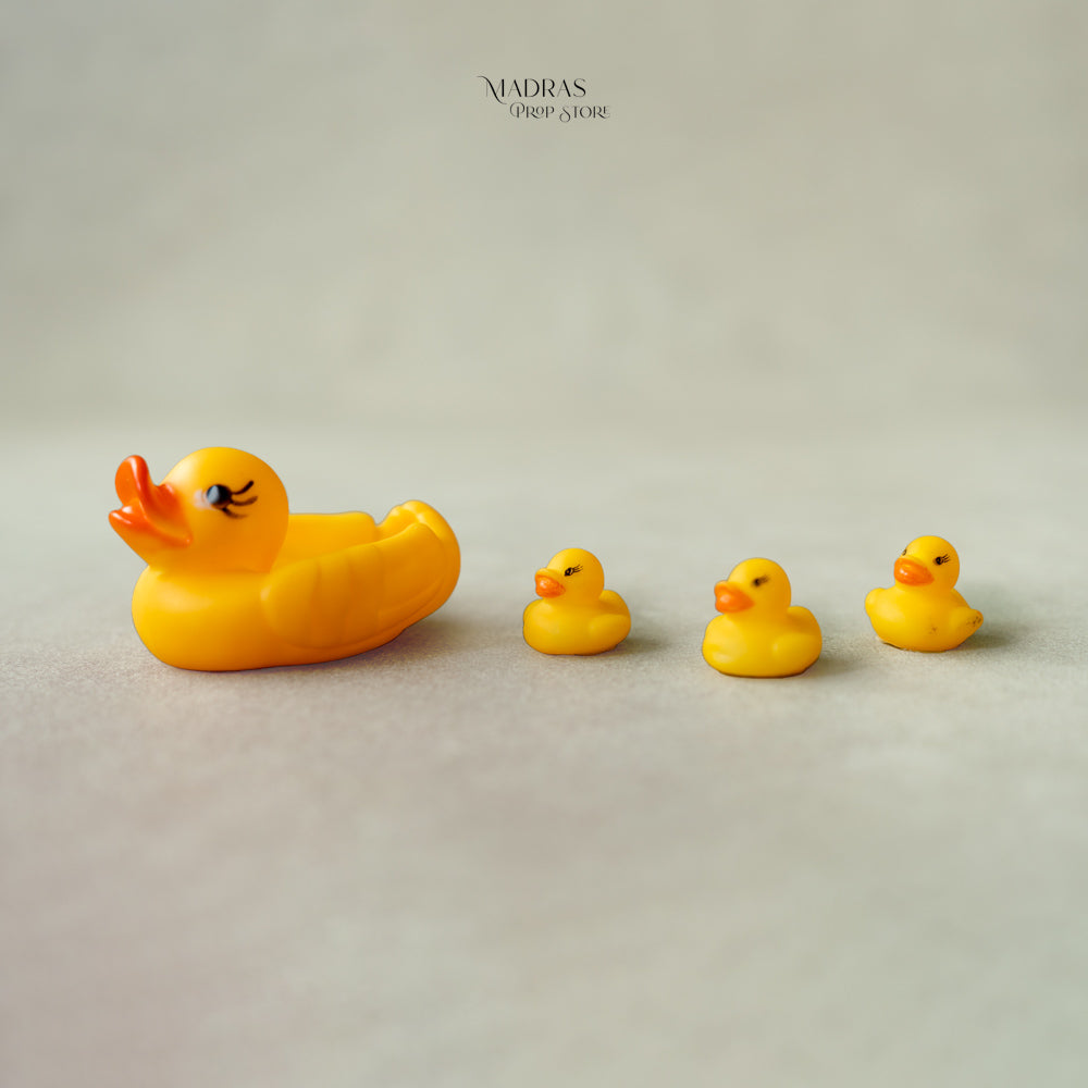 Duck and 3 Ducklings Set -Baby Props