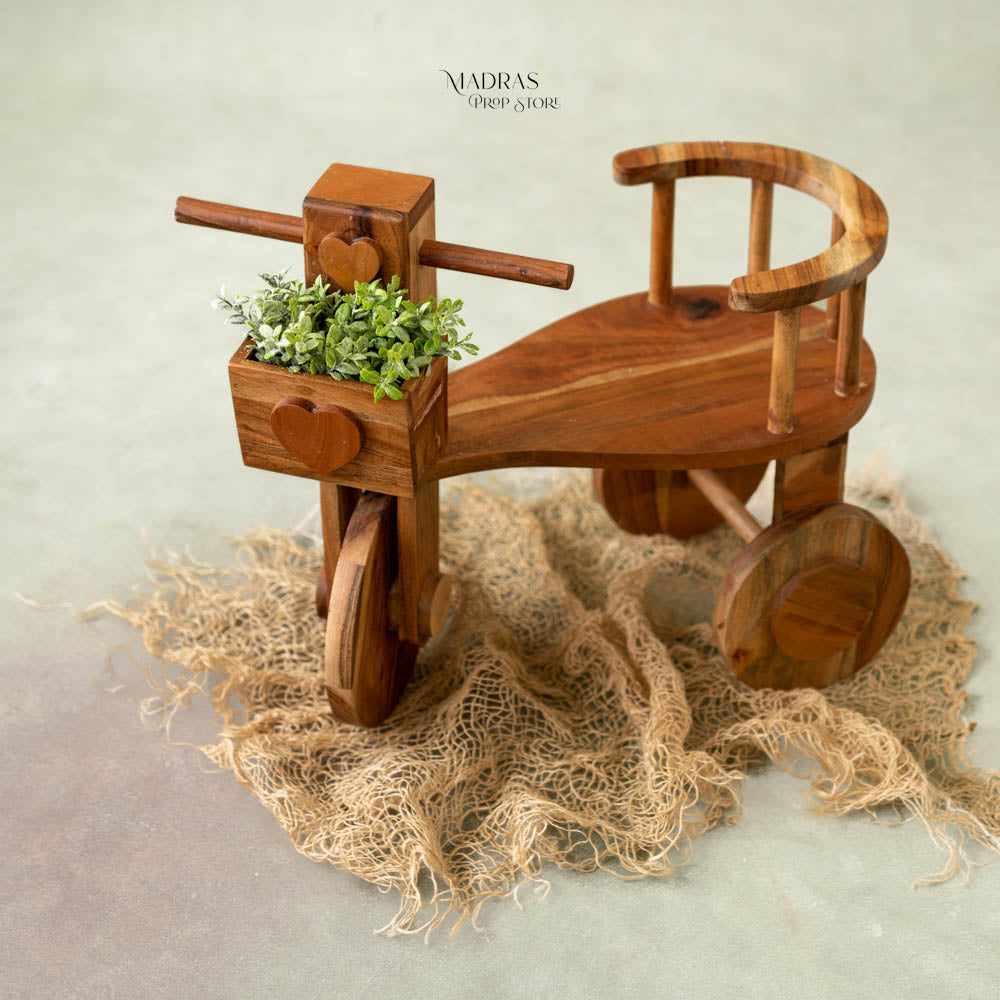 Wooden cycle deals for baby