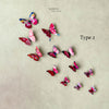 Butterfly ( Pack of 12 )