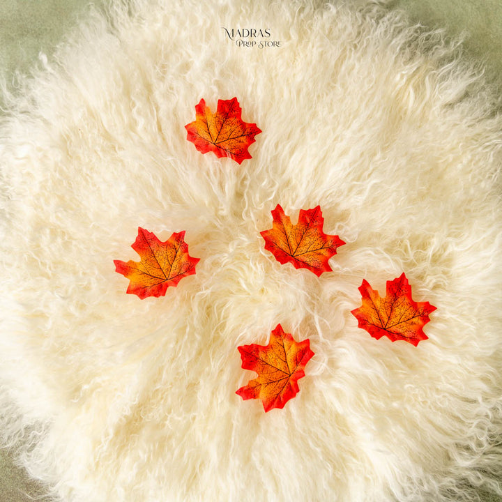 Maple leaves set of 5 : Baby Props