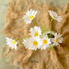 Bell Daisy Set Of Two Bunches