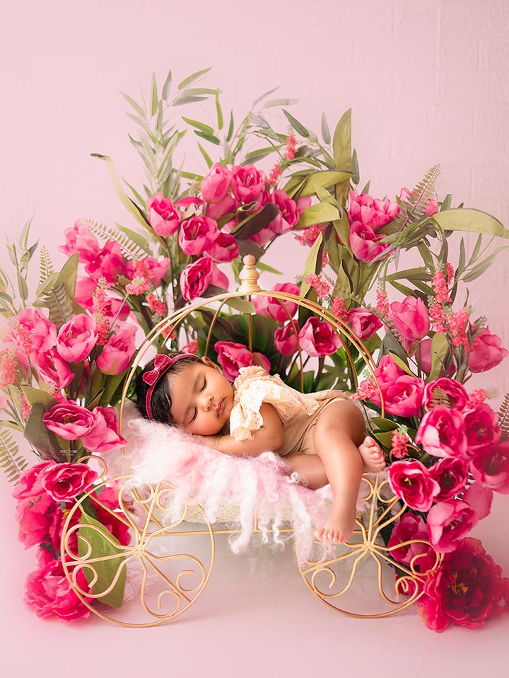 Newborn Princess Cart -Baby Props