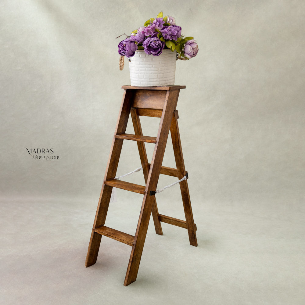 Maternity Ladder : Maternity Props