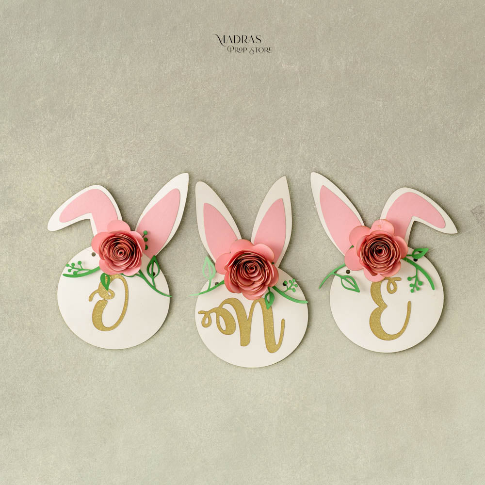 Bunny Bunting : Baby Props