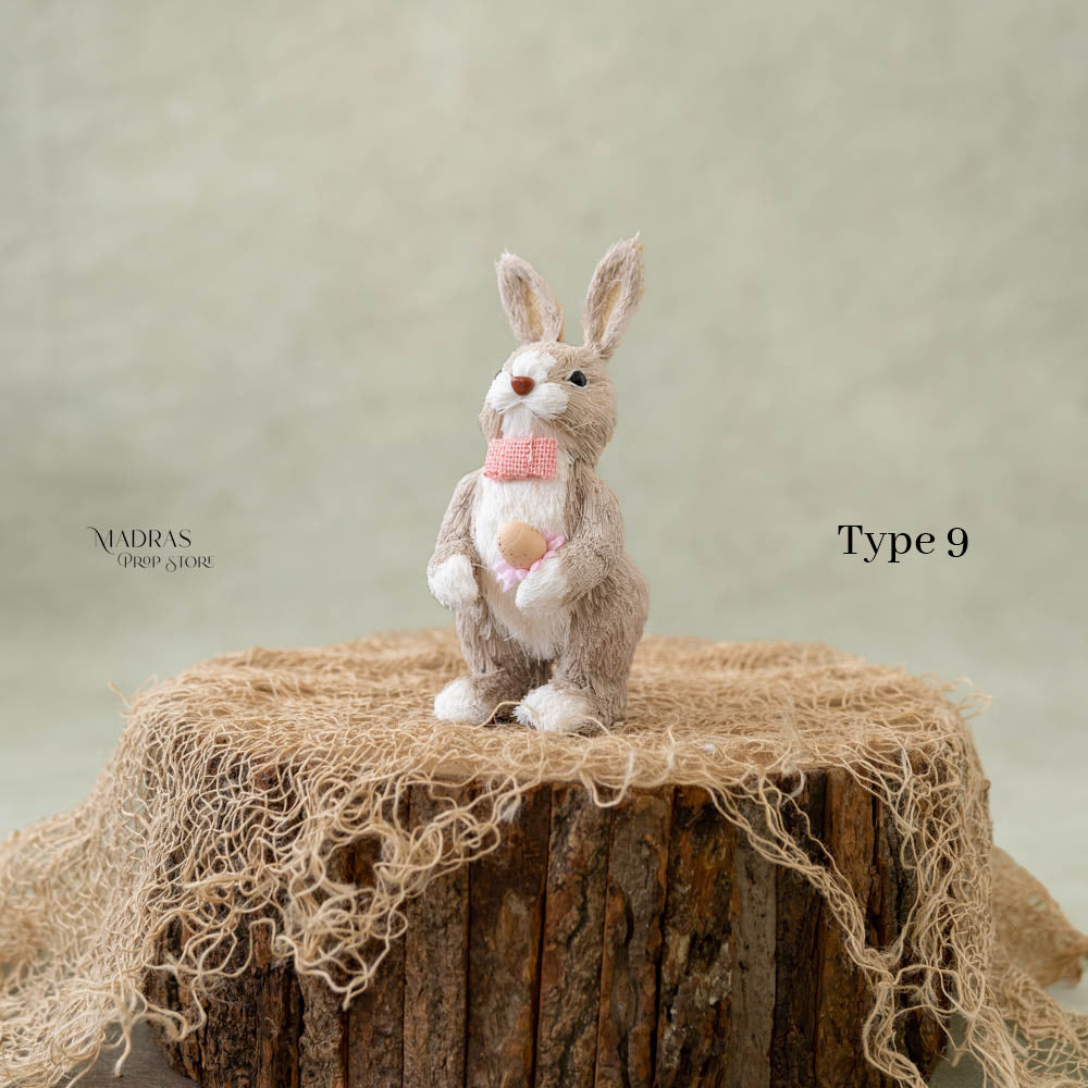 Easter Bunny Dolls : Baby Props