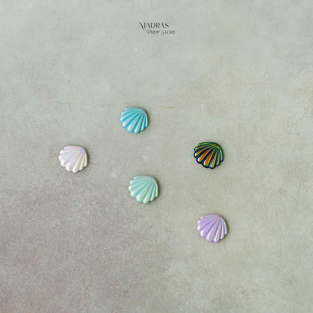 Set of Colourful Seashells : Baby Props