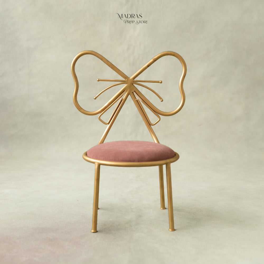 Butterfly Chair : Baby Props