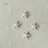 Velvet Stars Set Of 4