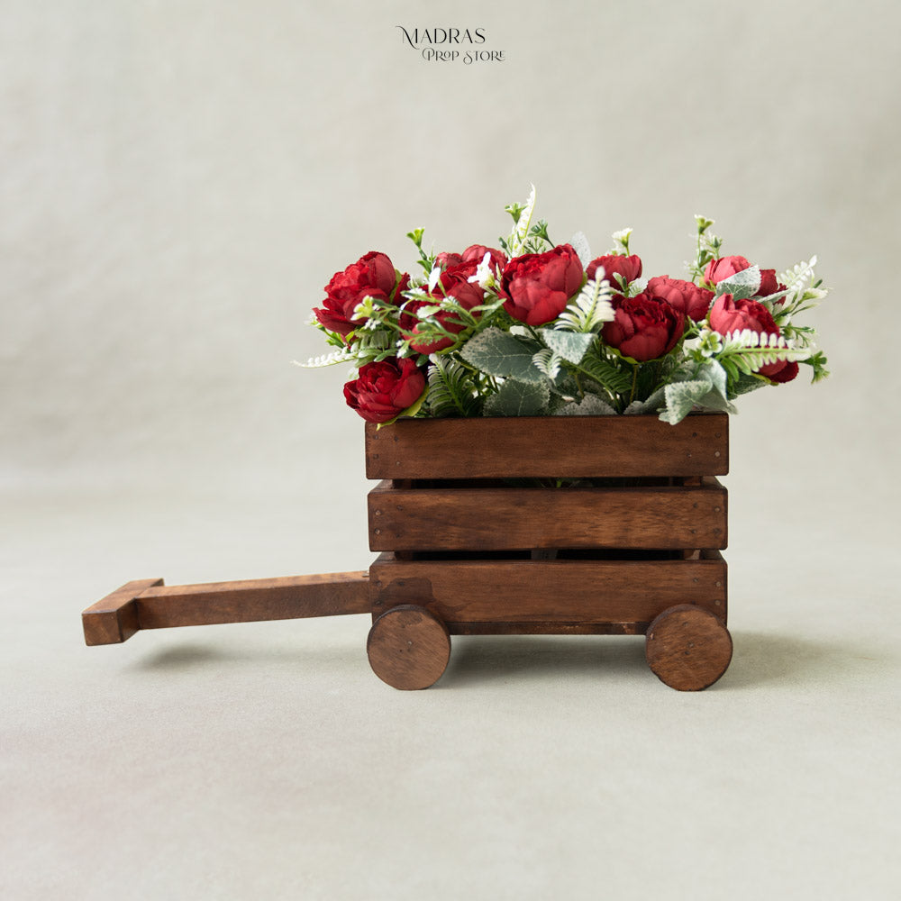 Mini Cart With Handle : Baby Props