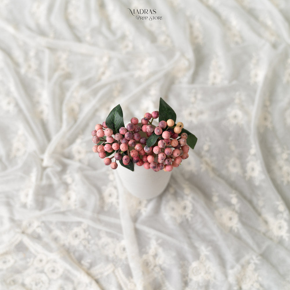 Summer Berries Set Of 2 : Baby Props