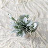 Dusty Miller