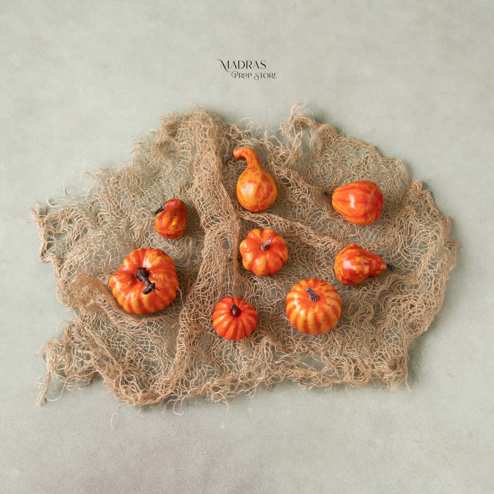 Miniature Pumpkins : Baby Props