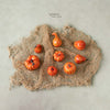 Miniature Pumpkins ( Set Of 8 )