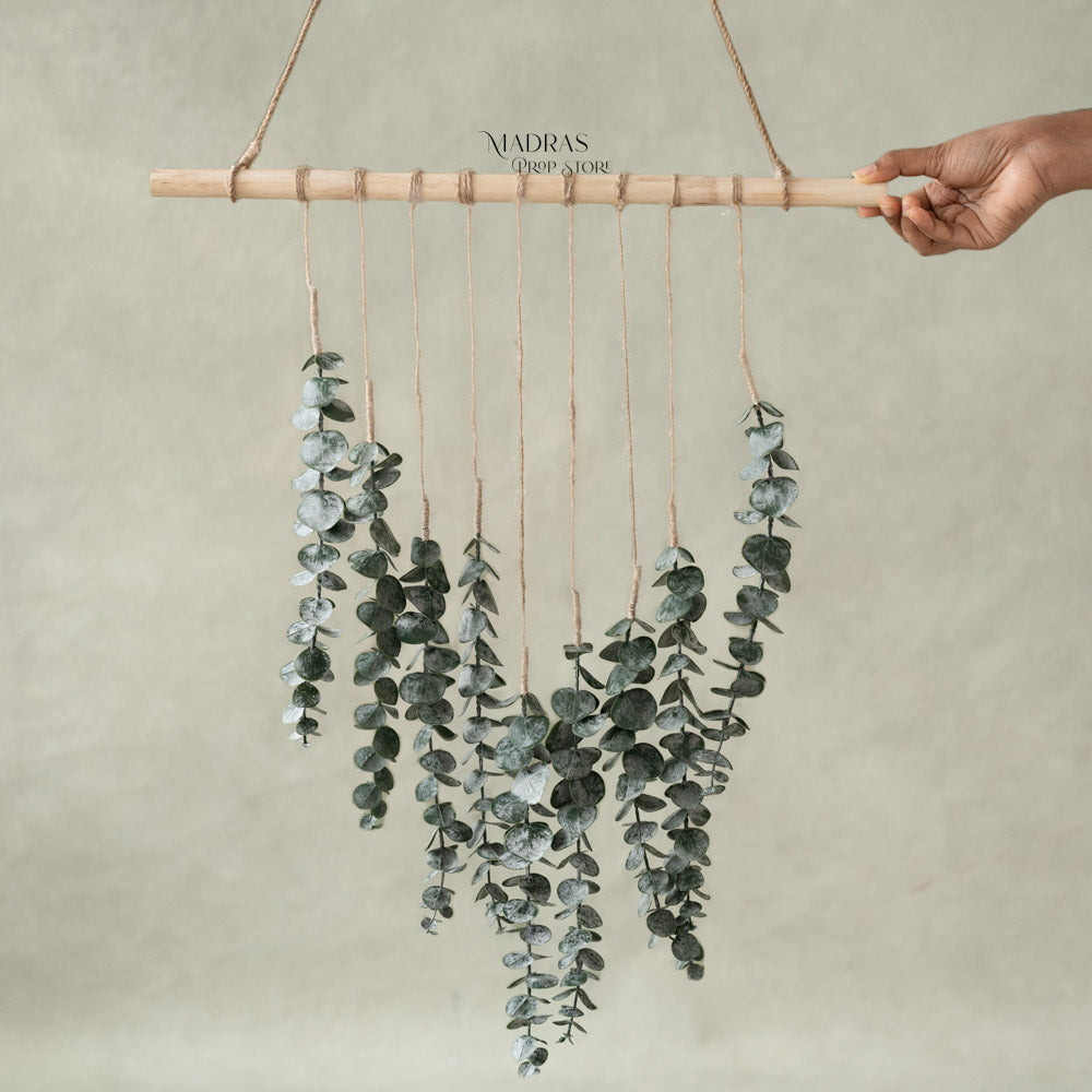 Eucalyptus Boho Hanging : Baby Props