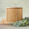 Cane Mesh Basket