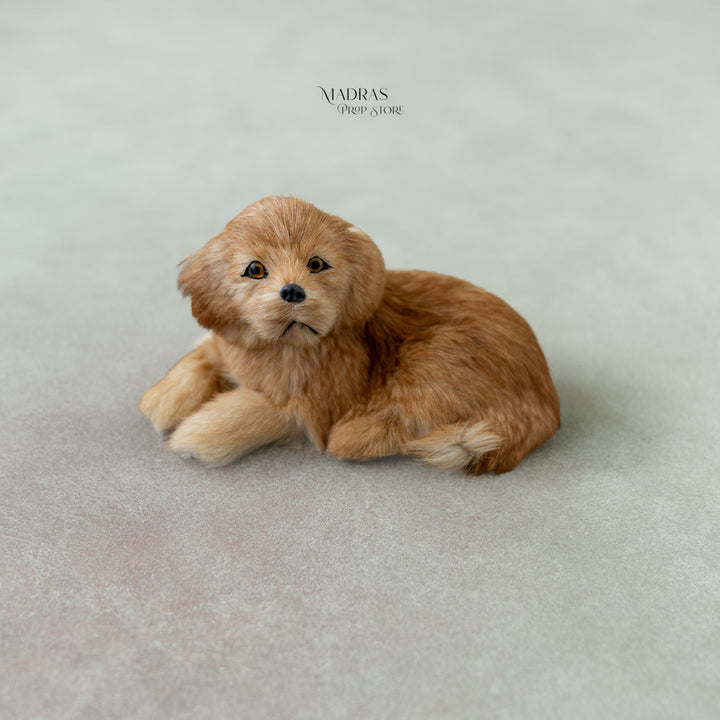 Sitting Dog : Baby Props