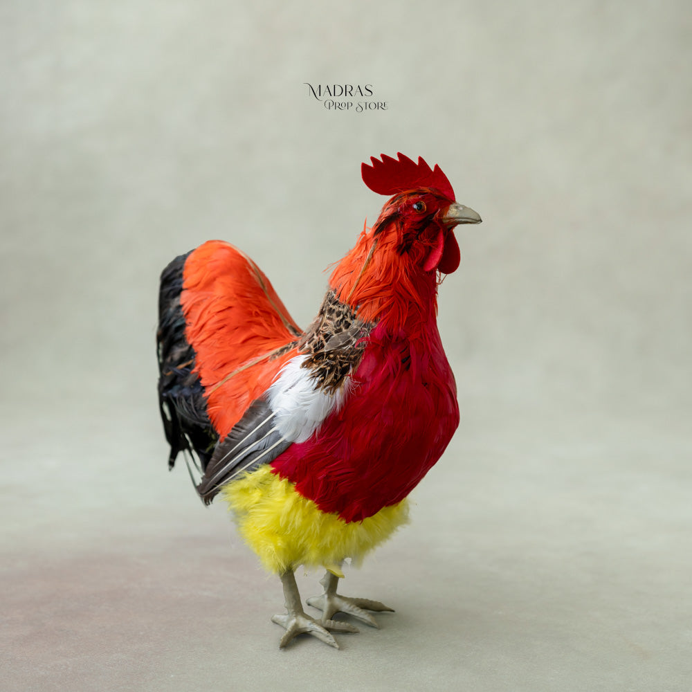 Rooster : Baby Props