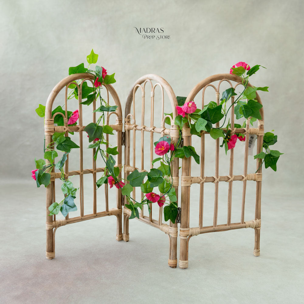 FLOWERY VINE : Baby Props