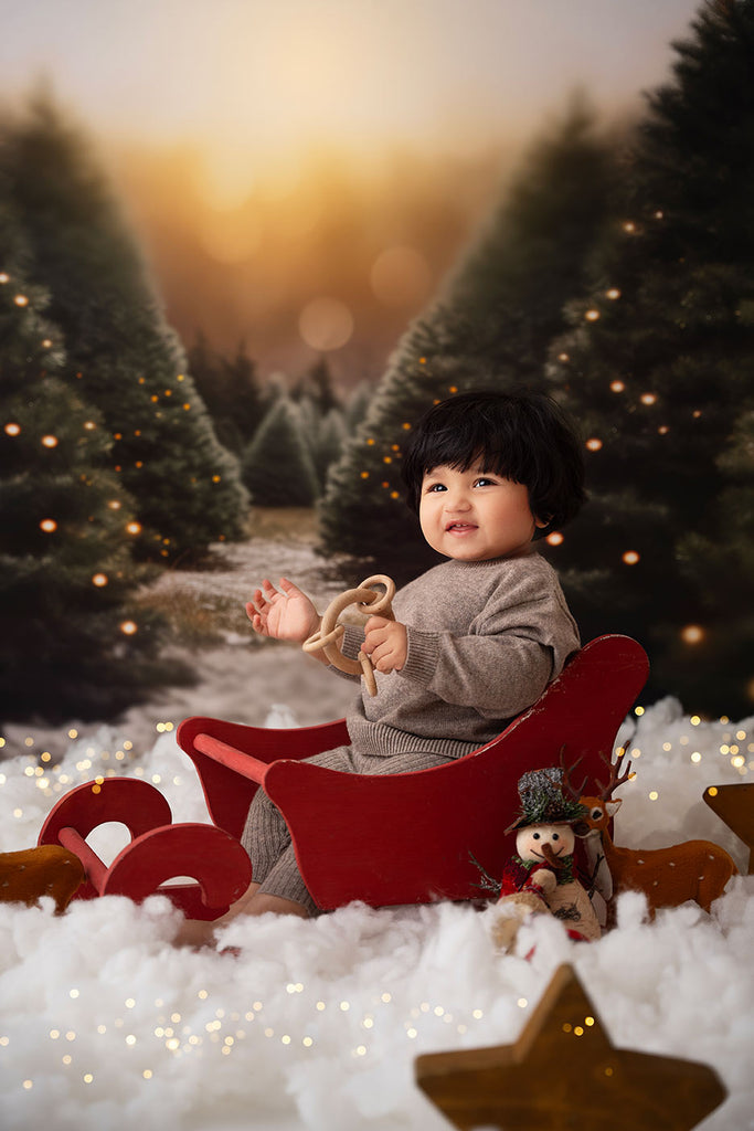 Santa Claus Cart V0.2 -Baby Props