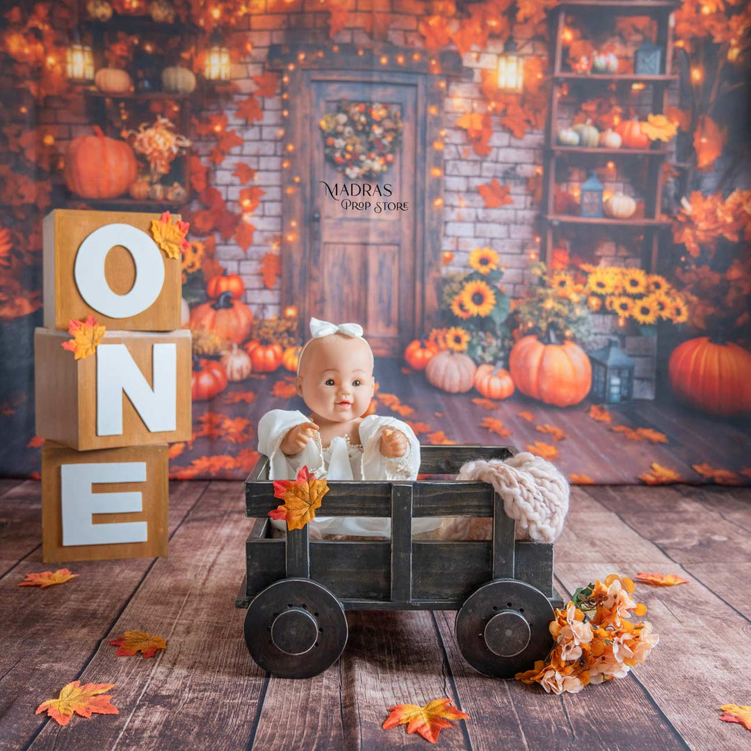 Setup - 0660 ( 18 Setups ) : Baby Props
