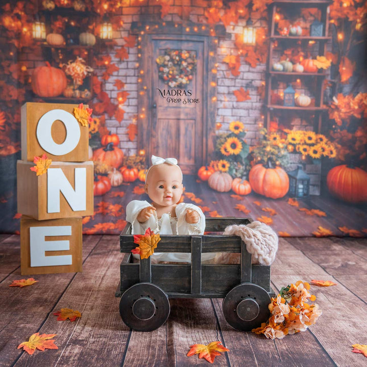 Setup - 0660 ( 18 Setups ) : Baby Props