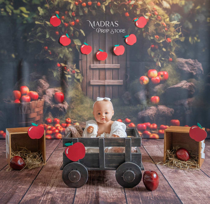 Setup - 0660 ( 18 Setups ) : Baby Props