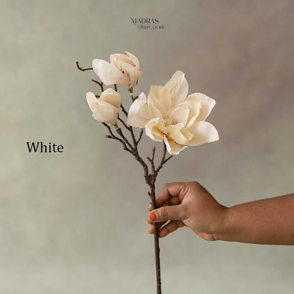 Dainty Cream Floral : Baby Props