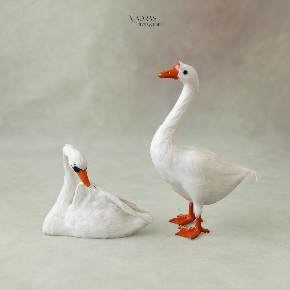 Duck XL Size Set Of 2 : Baby Props